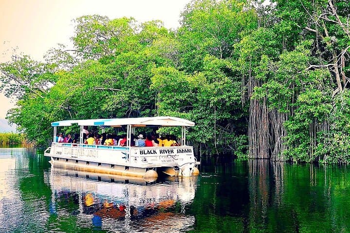 Black River Safari and Y.S. Falls Combo: Crocodiles, Waterfalls & Zipline in Jamaica photo 4
