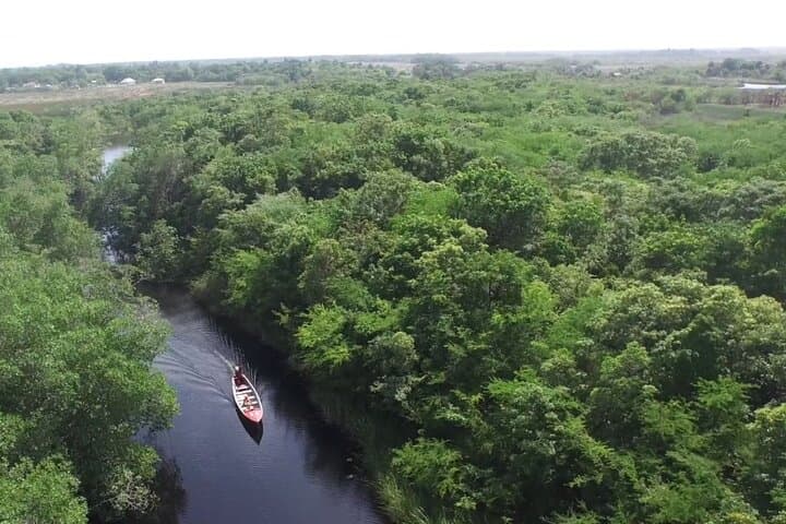 Black River Safari and Y.S. Falls Combo: Crocodiles, Waterfalls & Zipline in Jamaica photo 5