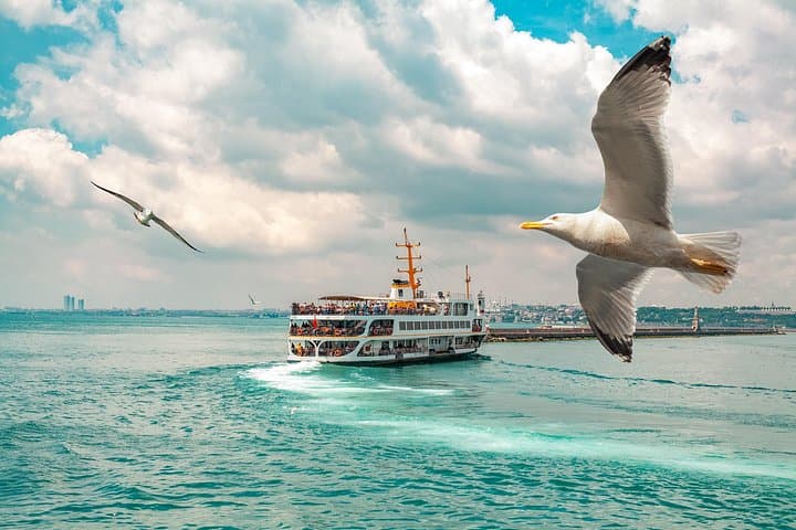Sultan's Legacy: Guided Historical Walking Tour of Istanbul
