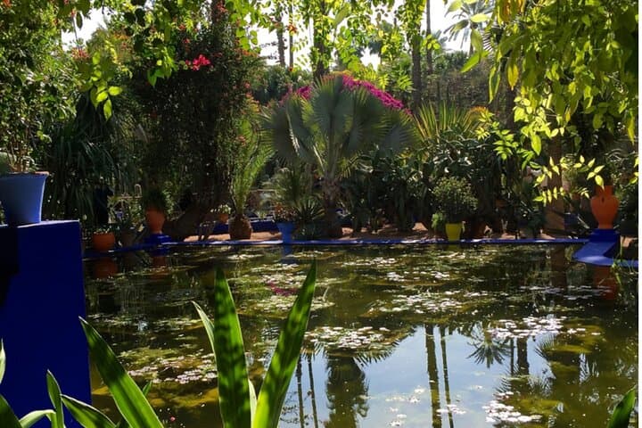 Marrakech Walking Tours: Medina, Food & VIP Cultural Experiences photo 3