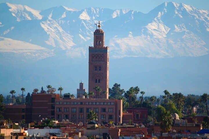 Marrakech Walking Tours: Medina, Food & VIP Cultural Experiences photo 2