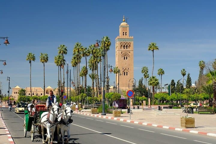 Marrakech Walking Tours: Medina, Food & VIP Cultural Experiences photo 6