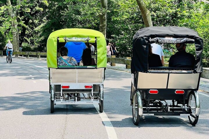 Central Park Pedicab Ride: 60-Minute Private Tour from 59th Street