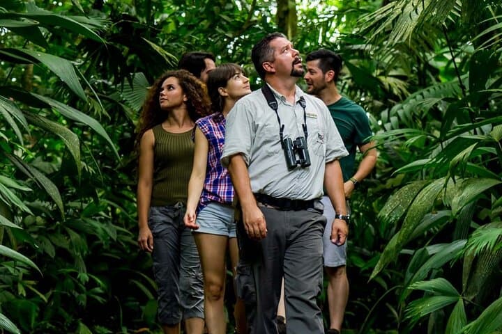 Ultimate Jungle Mega Experience near Arenal: Zipline, Hanging Bridges & Hot Springs photo 2