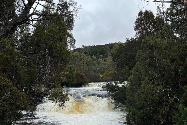 Devonport to Cradle Mountain: Dove Lake Day Trip & Sheffield Mural Town photo 4