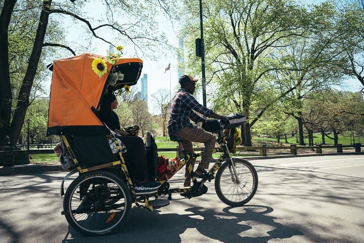 Private Central Park Guided Pedicab Tour — 1–2 Hour Custom Routes & Photo Stops photo 3