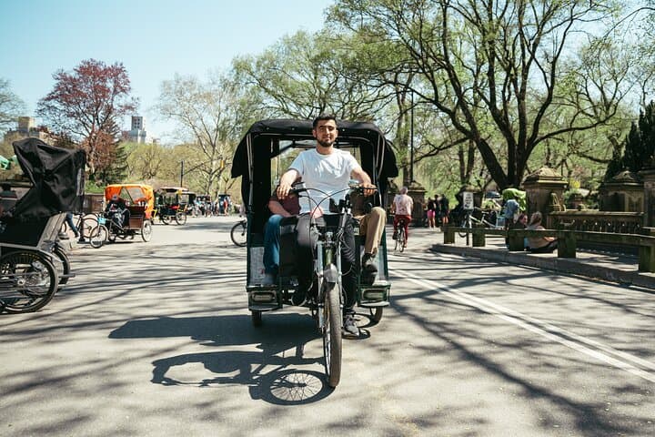Private Central Park Guided Pedicab Tour — 1–2 Hour Custom Routes & Photo Stops photo 5
