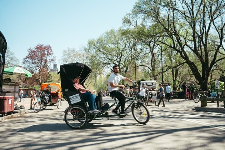 Private Central Park Guided Pedicab Tour — 1–2 Hour Custom Routes & Photo Stops photo 6