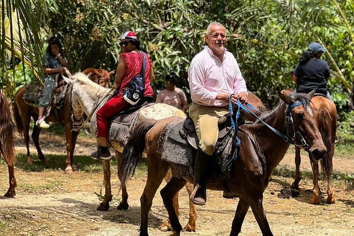 Half-Day Mountain Horseback Ride from Punta Cana to Miches