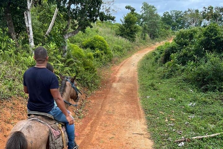Half-Day Mountain Horseback Ride from Punta Cana to Miches photo 5