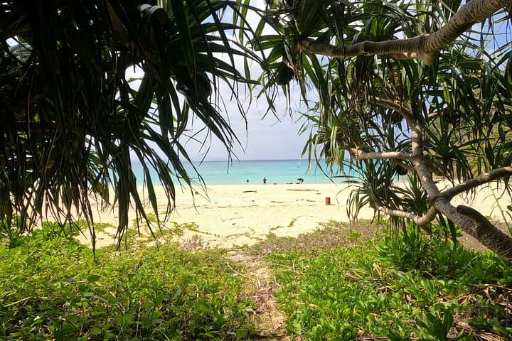 Motobu Peninsula Private Snorkel Tour — Beaches, Reefs & Custom Itineraries