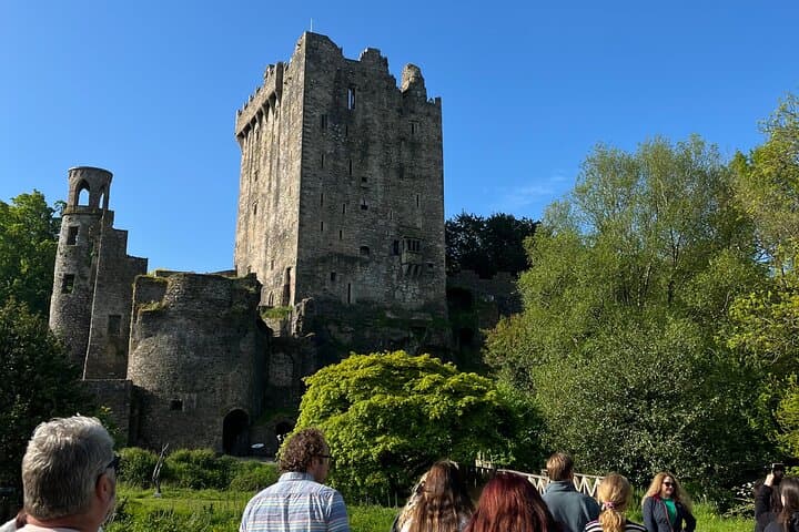 Blarney Castle and Cork City Minibus Tour from Cork — Kiss the Blarney Stone