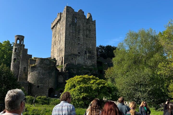Blarney Castle and Cork City Minibus Tour from Cork — Kiss the Blarney Stone photo 3