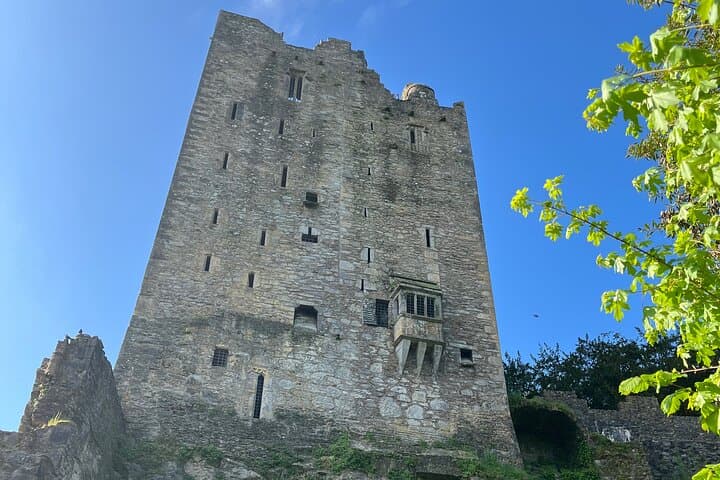 Blarney Castle and Cork City Minibus Tour from Cork — Kiss the Blarney Stone photo 4