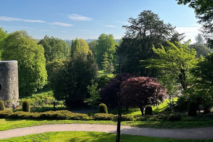 Blarney Castle and Cork City Minibus Tour from Cork — Kiss the Blarney Stone photo 6
