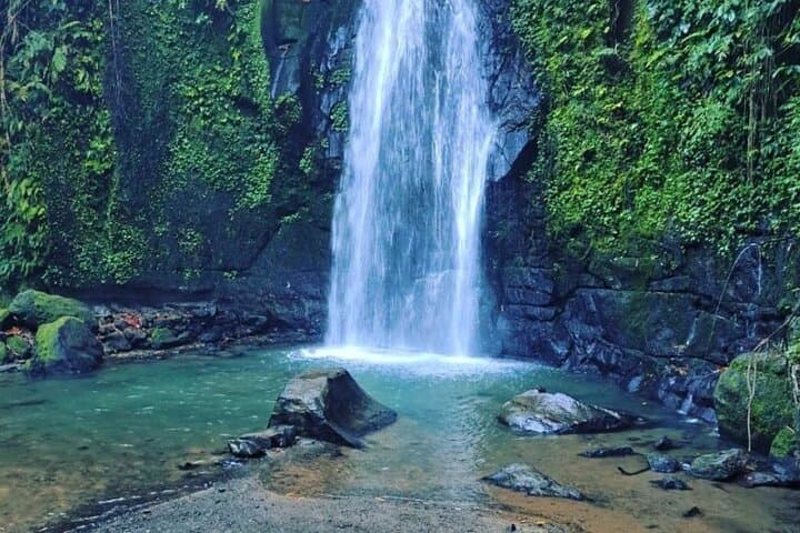Full-Day Ubud Cultural Tour: Monkey Forest, Waterfalls, Rice Terraces & Swing photo 3