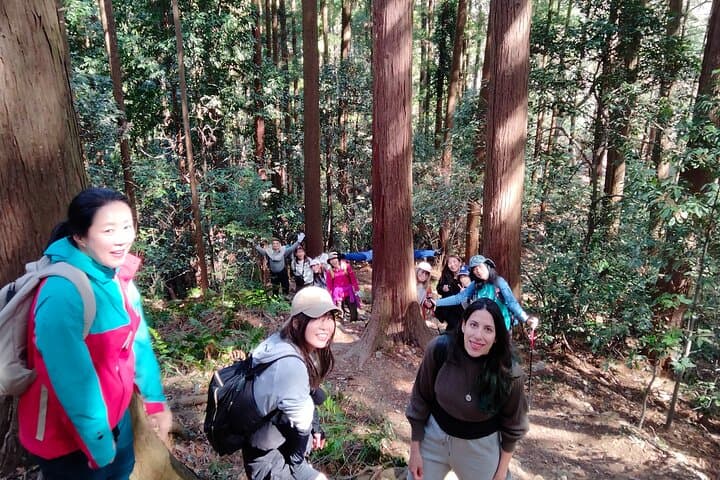 Countryside Walks and Mountain Hikes in Ogawamachi’s Organic Farmlands photo 2