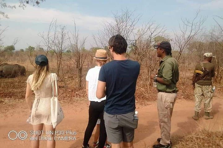 Up-Close Rhino Walking Safari in Mosi-oa-Tunya National Park photo 2
