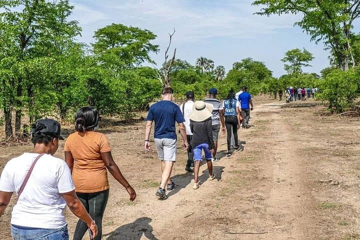 Up-Close Rhino Walking Safari in Mosi-oa-Tunya National Park photo 3