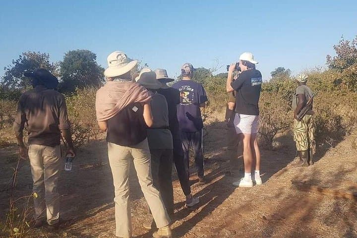 Up-Close Rhino Walking Safari in Mosi-oa-Tunya National Park photo 4
