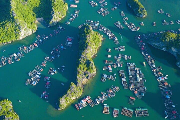 Lan Ha Bay Day Trip from Cat Ba — Kayaking, Swimming & Biking photo 5