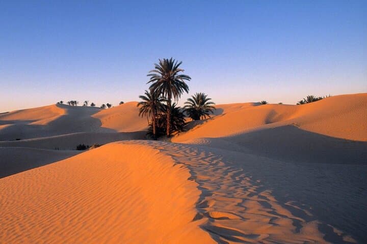 3-Day Tunisian Desert Escape: Bedouin Tents, Ksar Ghilane & Berber Gîte