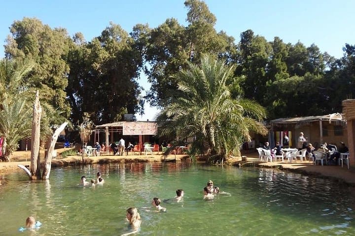 3-Day Tunisian Desert Escape: Bedouin Tents, Ksar Ghilane & Berber Gîte photo 4
