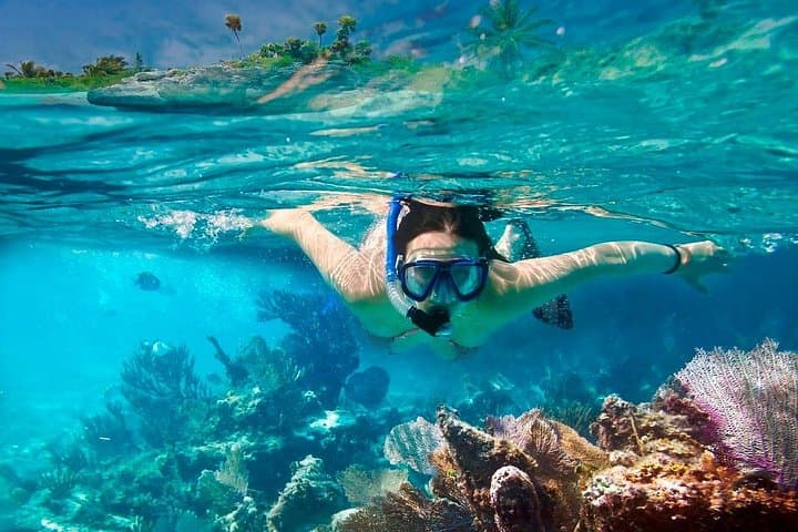 Cham Islands Snorkeling from Hoi An & Da Nang — Day Trip to Cù Lao Chàm photo 3
