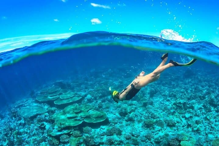 Cham Island Snorkeling Day Trip — Cu Lao Cham Marine Reserve Guide photo 5