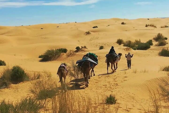 7-Day Tunisia: Tunis to Djerba — Cultural and Desert Adventure
