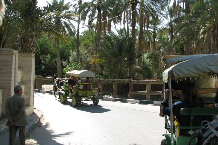 7-Day Tunisia: Tunis to Djerba — Cultural and Desert Adventure photo 5