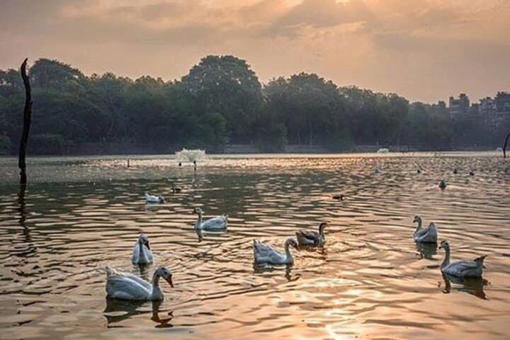 Evening Hauz Khas Walking Tour — Deer Park, Fort & Market in Delhi photo 4