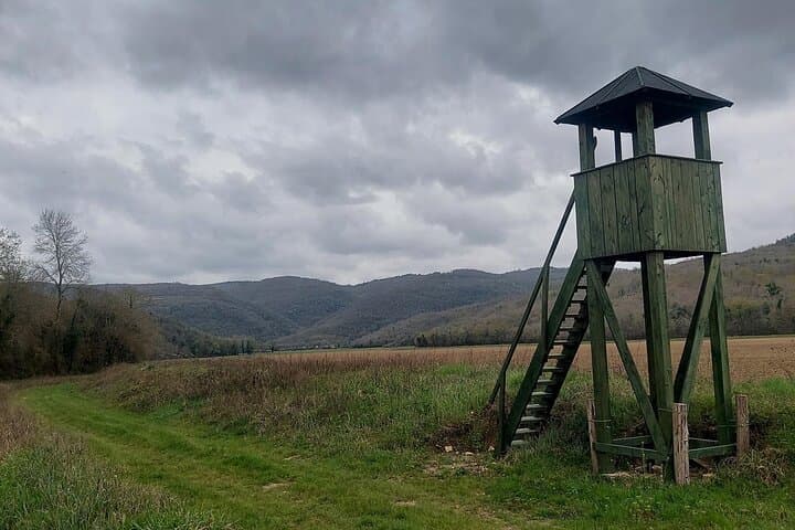 Motovun Hiking Tour with a Historian — Parenzana Trails & Medieval Walls photo 5