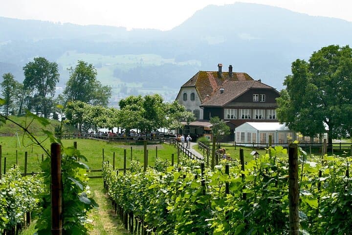 Zurich to Rapperswil & Ufnau Island — Lake Zurich Day Trip through Roses and History photo 2