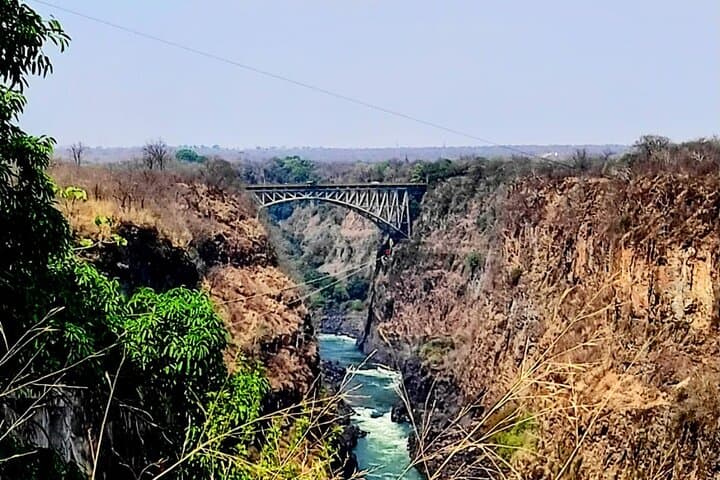 4x4 Bush Adventure: Baobab, Vultures & Victoria Falls Game Drive photo 5