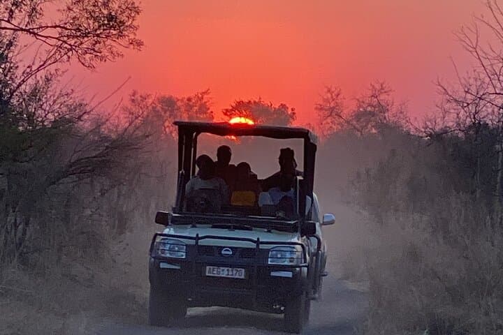 4x4 Bush Adventure: Baobab, Vultures & Victoria Falls Game Drive photo 4