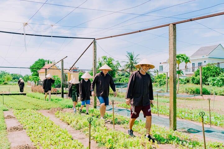 Hoi An Lantern Making and Tra Que Village Farming Day Experience photo 6