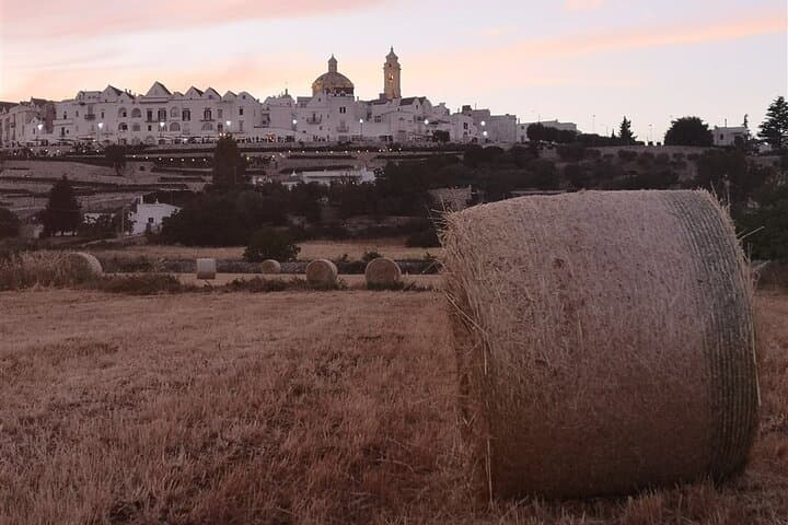 E-bike Through Itria Valley: Alberobello, Locorotondo & Vineyard Wine Tasting photo 5