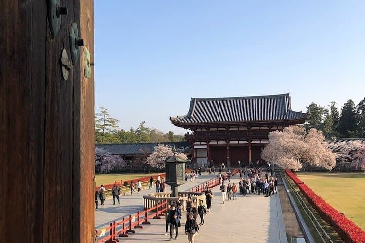 Discover Japan in 10 Days: Tradition, Innovation & Scenic Highlights