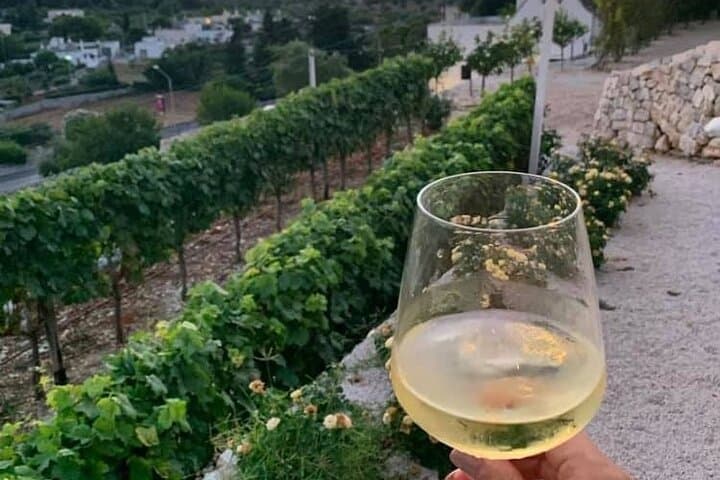 E-bike Through Itria Valley: Alberobello, Locorotondo & Vineyard Wine Tasting photo 6