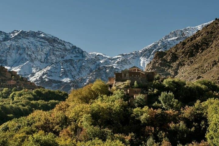 Imlil Valley Day Trip from Marrakech: Guided Hike, Mule Rides & Berber Village Lunch