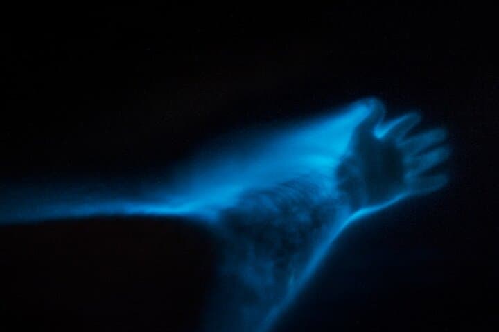 Cocoa Beach Bioluminescence Clear Kayak & Paddleboard Tour photo 2