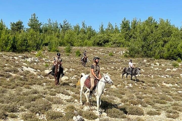 Horseback Riding in Lebanon's Chouf Mountains — Day Trip from Beirut photo 3