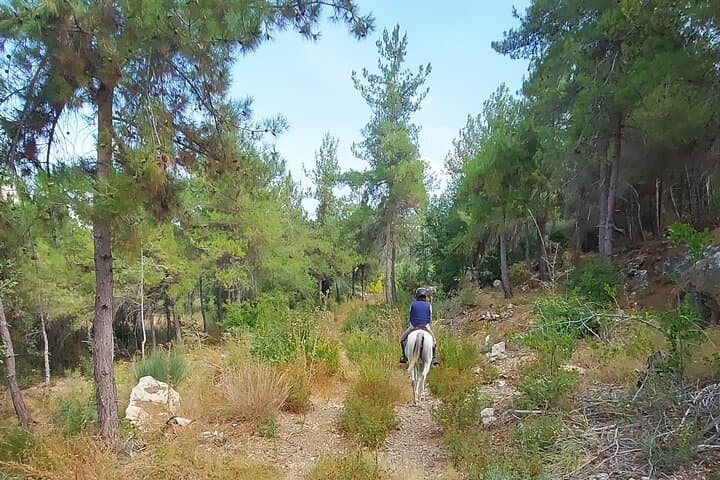 Horseback Riding in Lebanon's Chouf Mountains — Day Trip from Beirut photo 2