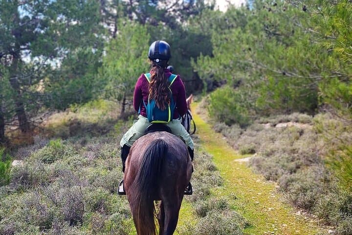 Horseback Riding in Lebanon's Chouf Mountains — Day Trip from Beirut photo 4