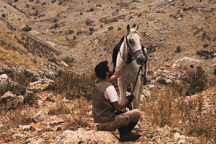 Horseback Riding in Lebanon's Chouf Mountains — Day Trip from Beirut photo 5