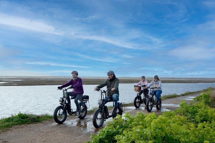 Retro E‑Bike Hire: Explore New Forest Coastal Trails from Keyhaven