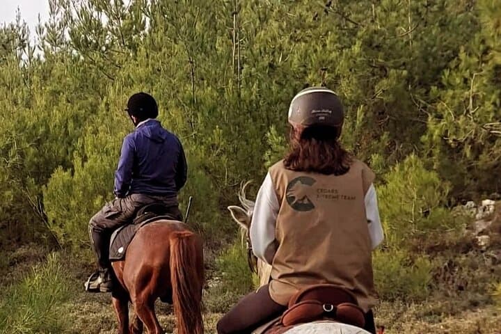 Horseback Riding in Lebanon's Chouf Mountains — Day Trip from Beirut photo 6