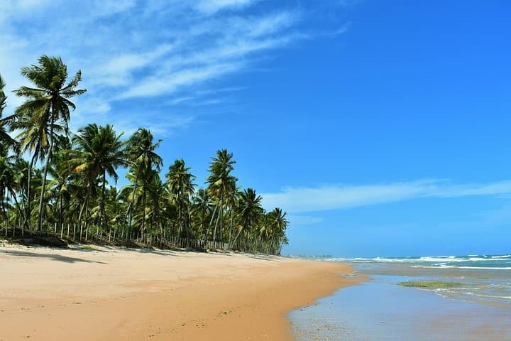 Sea Turtle Trek and Habitat Highlights on Bahia's Coconut Coast photo 2