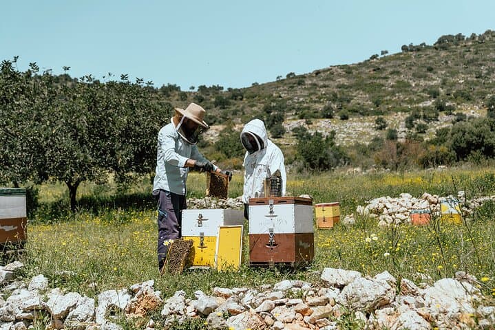 Crete Jeep Tour: Honey, Cheese & Shepherds' Mitato Experience photo 4